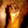 Lucky monkeys hand